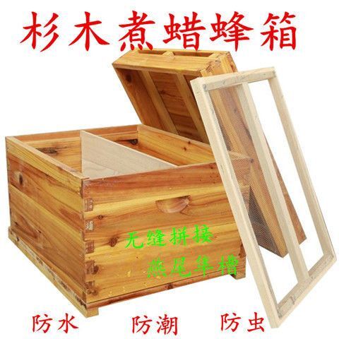 南昌县杉木蜂箱 蜂箱