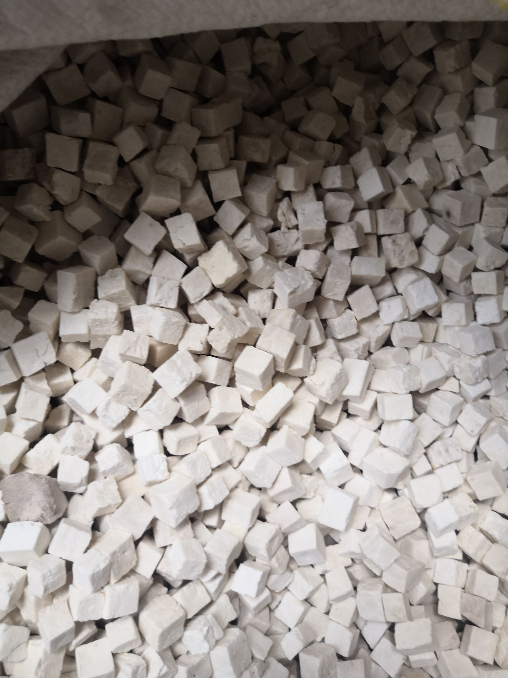 茯苓 云南省普洱市思茅区