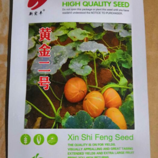 临沂红栗南瓜种子 95% 