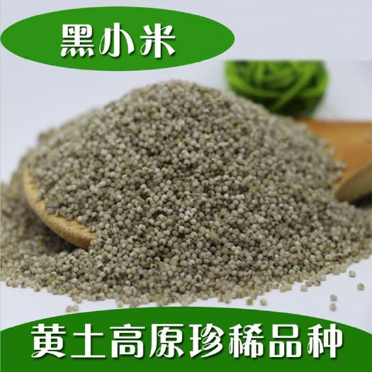 黑小米