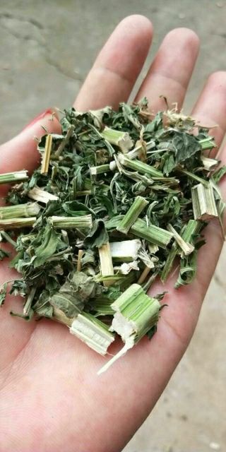 南漳县益母草