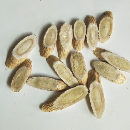 岷县黄芪切片