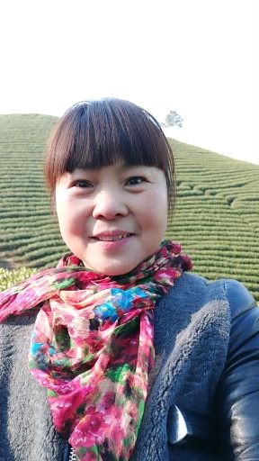 安吉白茶 一级 盒装 