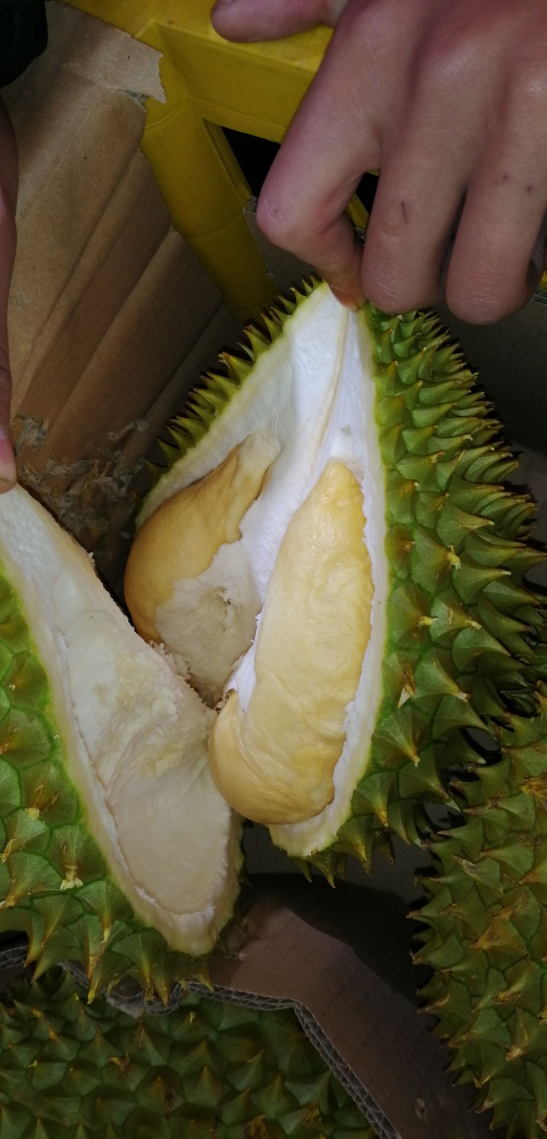 干尧榴莲 3 - 4公斤 60 - 70%以上 