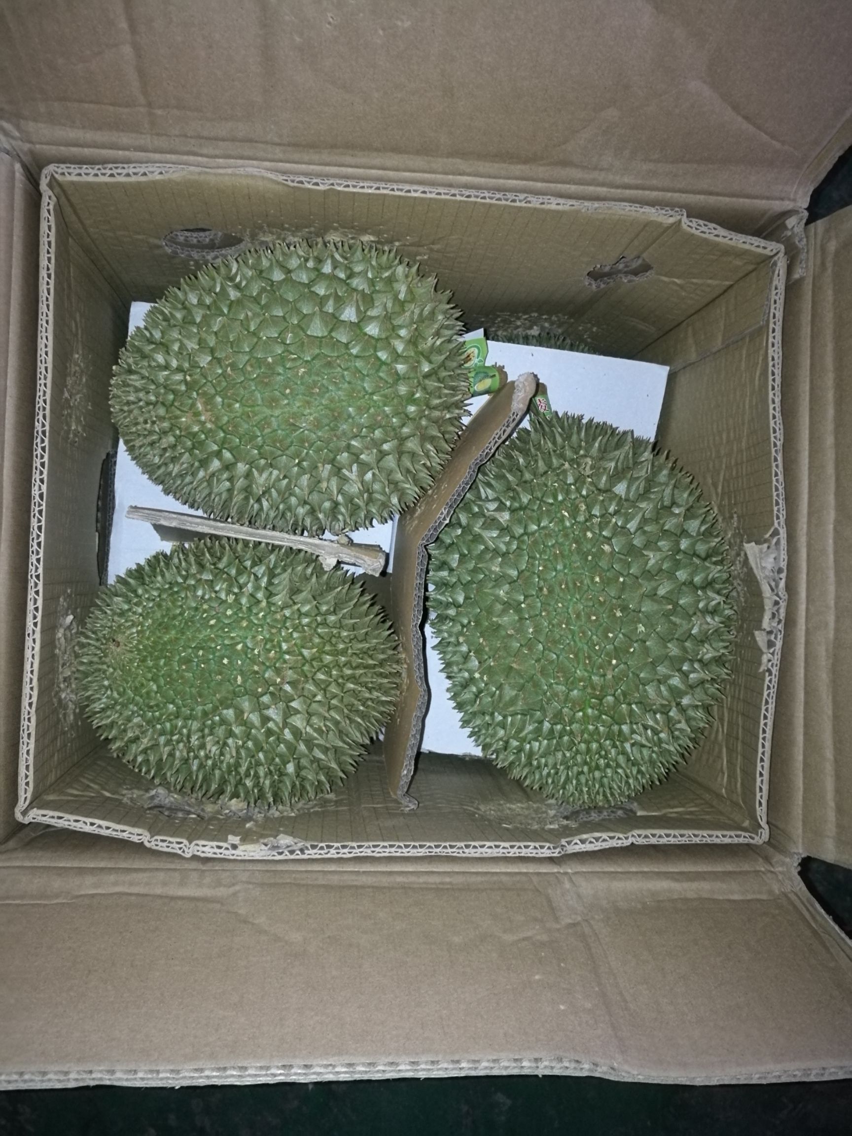 猫山王榴莲 2 - 3公斤 30 - 40%以上 