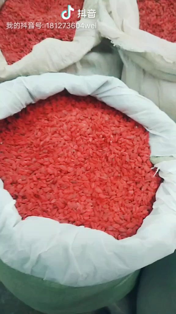 中宁枸杞 特优级 