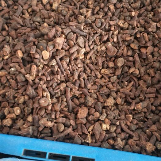 鹿邑县茶根 