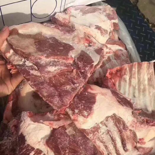 阳信县羊排 生肉 