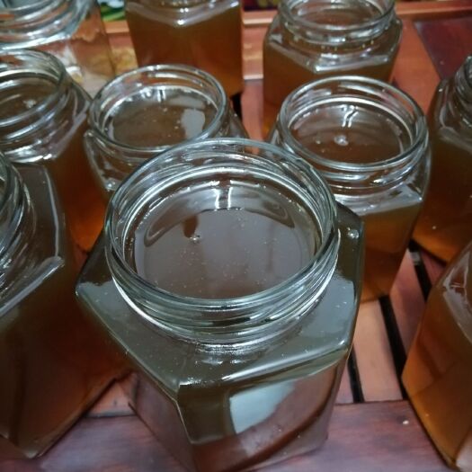 钦州土蜂蜜 玻璃瓶装 2年以上 98% 