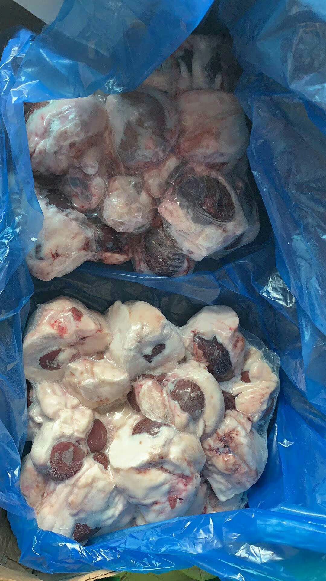 羊腰 