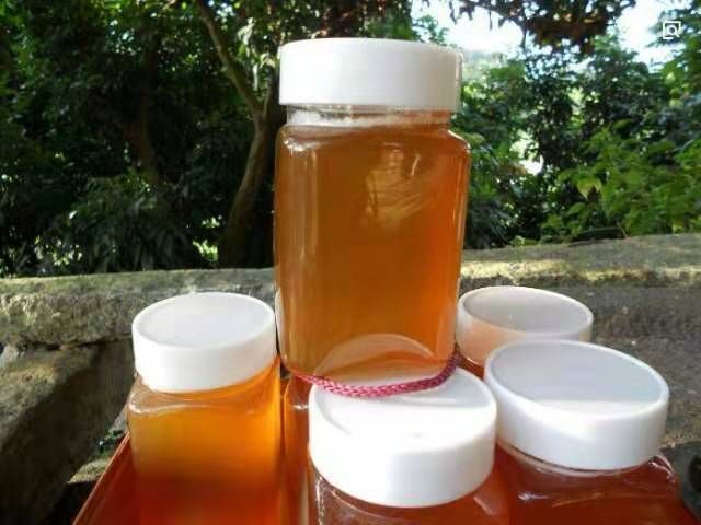 莆田 供应枇杷蜜土蜂蜜农家蜂蜜冬蜜枇杷蜜护肤品蜂蜜