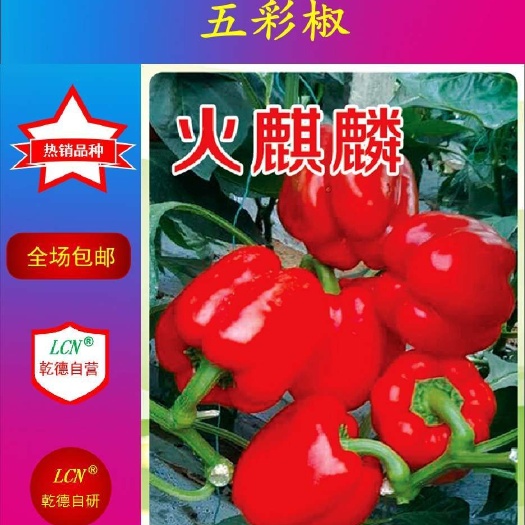 寿光市红彩椒火麒麟 杂交种 ≥97% 