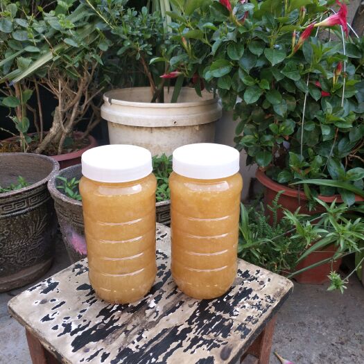 宜良县土蜂蜜 塑料瓶装 2年以上  