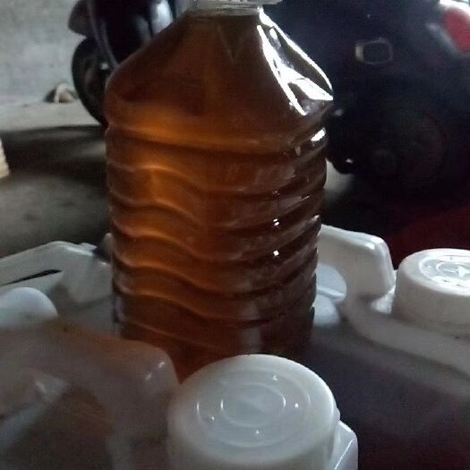 河池有机山茶油 自种自榨的茶籽油