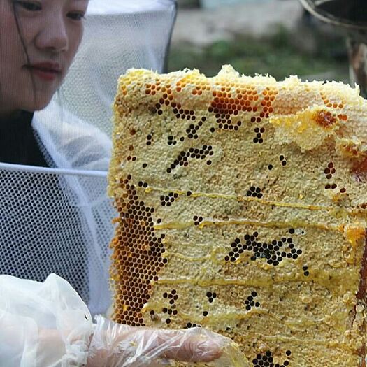 郑州土蜂蜜 塑料瓶装 1年 80%以上 