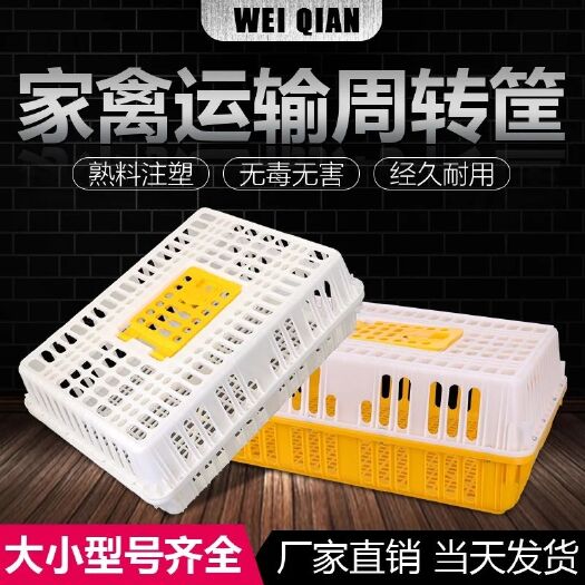 乐陵市鸡笼 （厂家包邮）周转箱加强型特大运输笼塑料鸡鸭鹅鸽子笼鸡