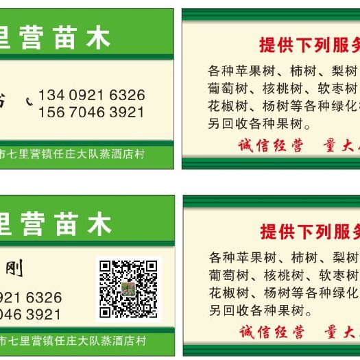 新乡县突围桃苗 0.5~1米 