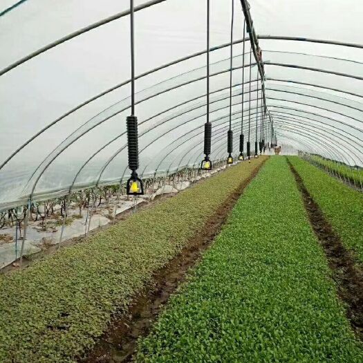 济南吊挂微喷头 大棚蔬菜吊挂微喷