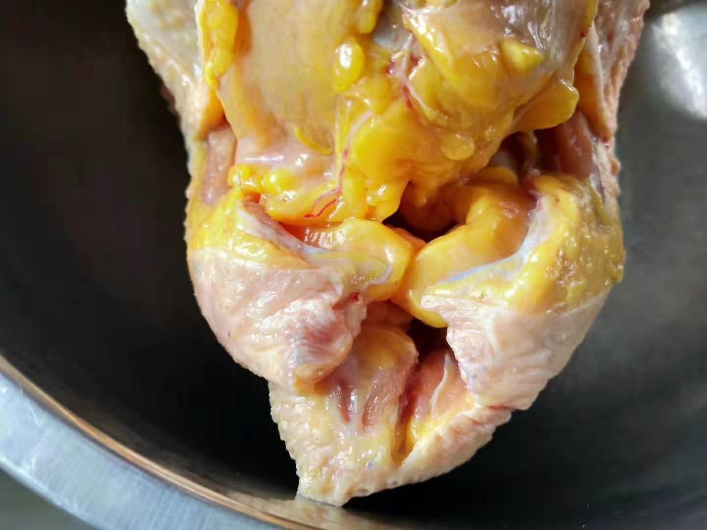 土鸡 统货 5-6斤