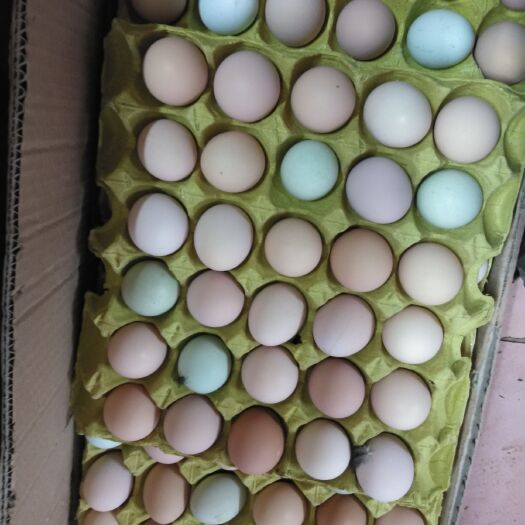 武汉初生蛋 食用 箱装