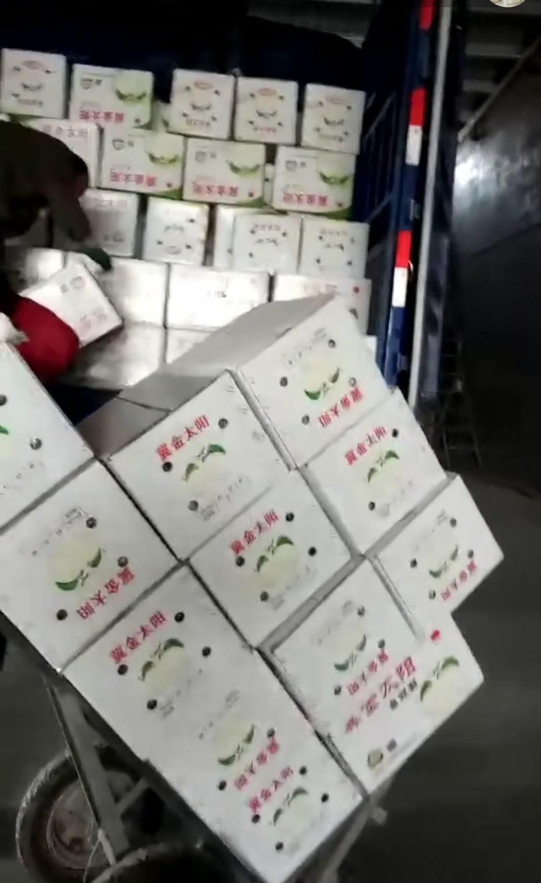 皇冠梨 65mm以上 250-300g 