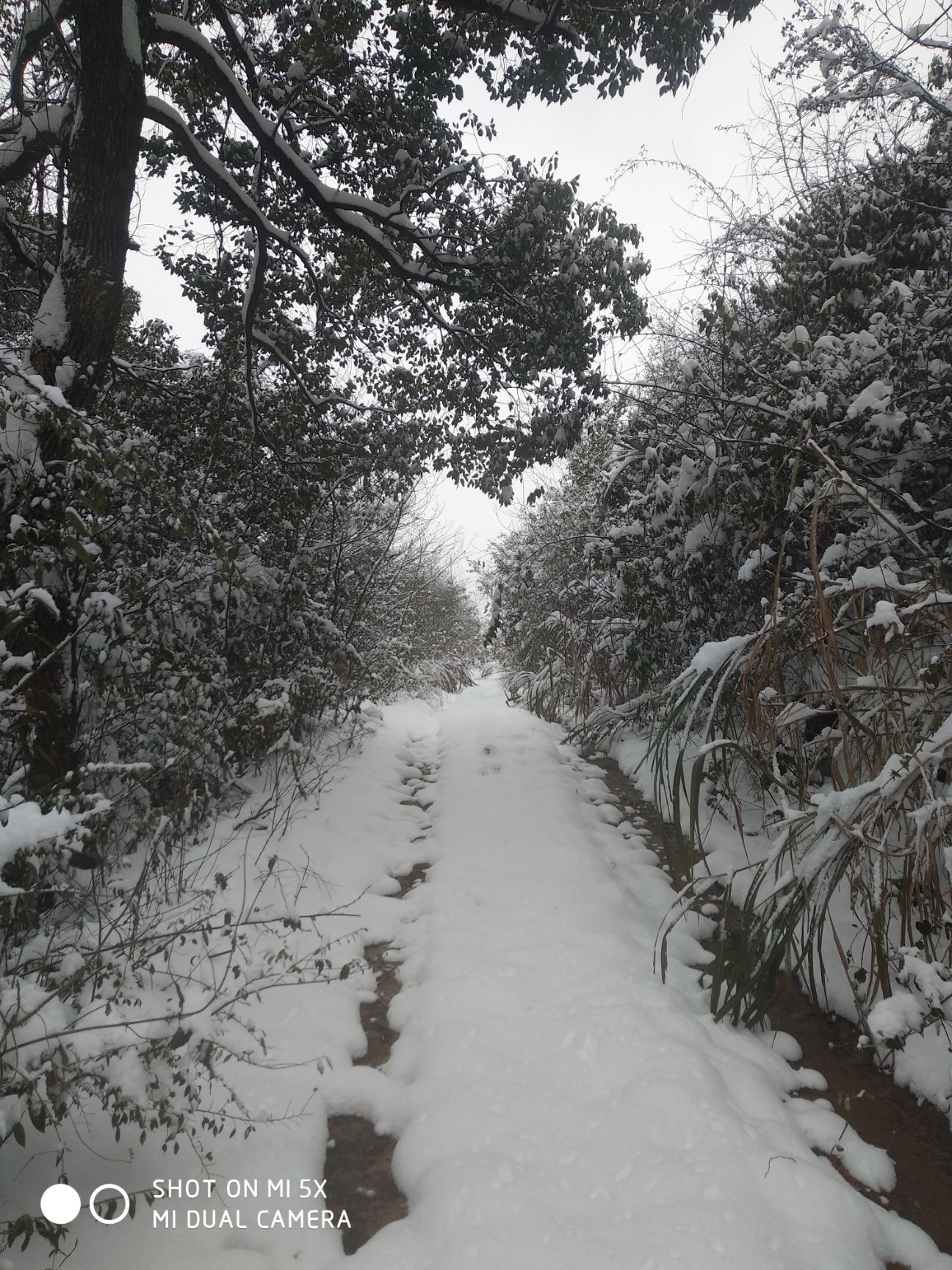 山地 转让 20~30年 500~1000亩 