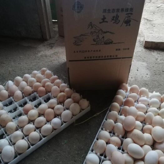 黎平县土鸡蛋 食用 简包装 