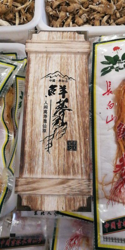 哈尔滨园参 鲜参 