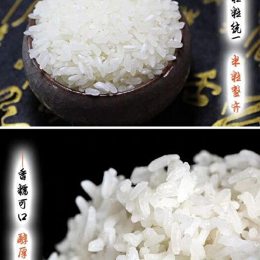 长粒香大米 一等品 晚稻 粳米 
