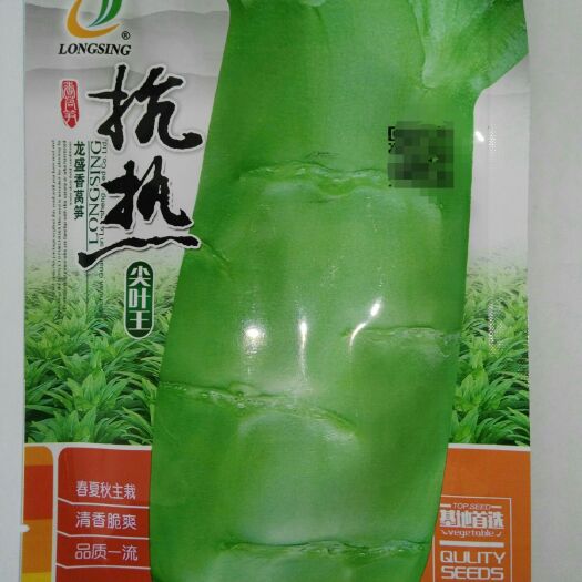 沭阳县抗热尖叶香莴笋种子 香莴苣种子 清香味浓适宜春夏秋种植