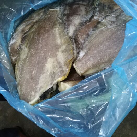 潍坊鲽鱼