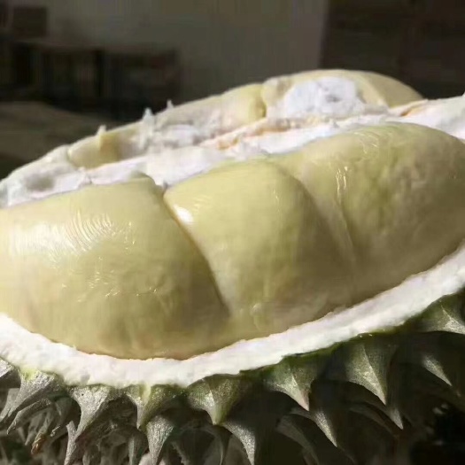 南宁猫山王榴莲 2 - 3公斤 90%以上