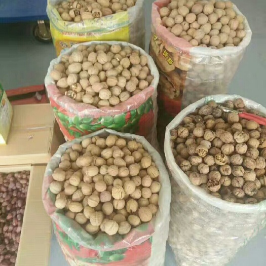 原阳县新疆核桃 