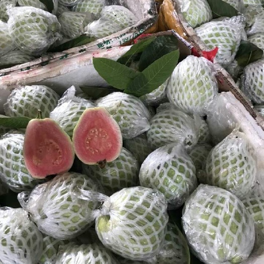 玉林红心芭乐 250-300克 