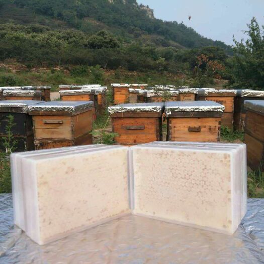 枣庄蜂巢蜜 盒装 1年 95%以上 