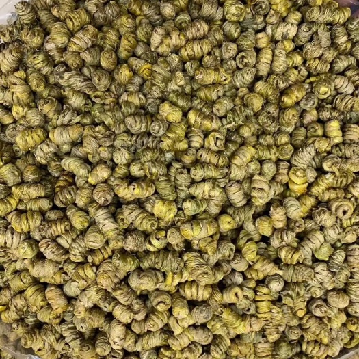 深圳铁皮石斛 