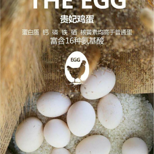 灌南县贵妃鸡蛋 食用 散装 