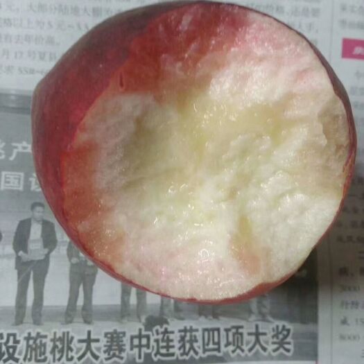 临猗县 水蜜桃6月初上市后就可以开始发货