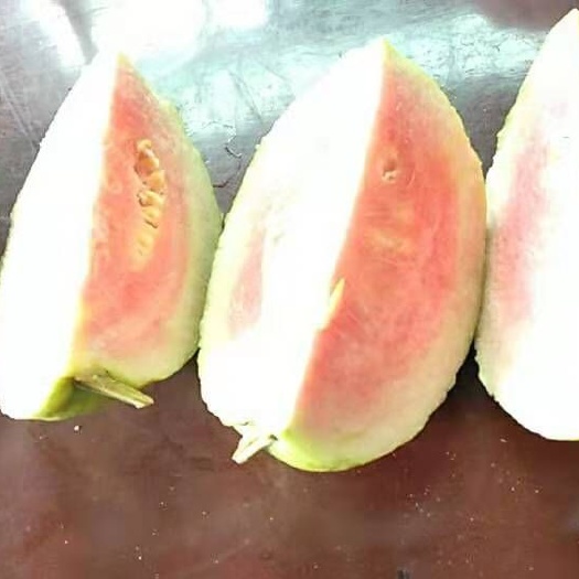开平市 广东开平赤水红心芭乐