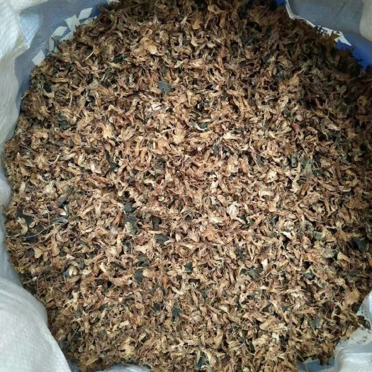 槐树花 干货 