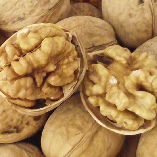 乌鲁木齐新疆185核桃 