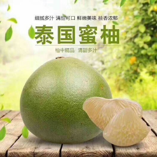 昆明促销 泰国安帕瓦青柚 野生柚 水蜜柚 2-4个 原装16头