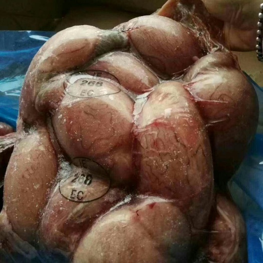 中牟县羊腰 