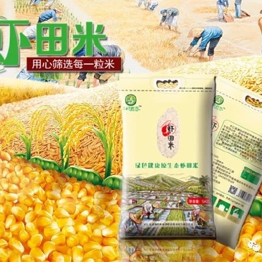 合肥虾田大米 一等品 早稻 粳米 