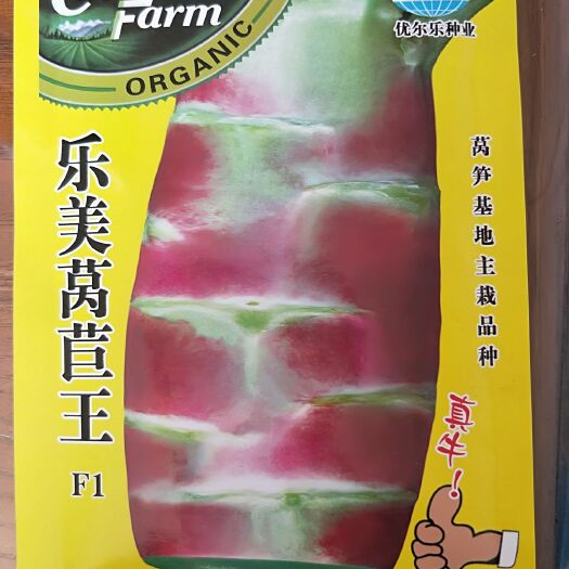 莴笋种子  乐美莴苣王