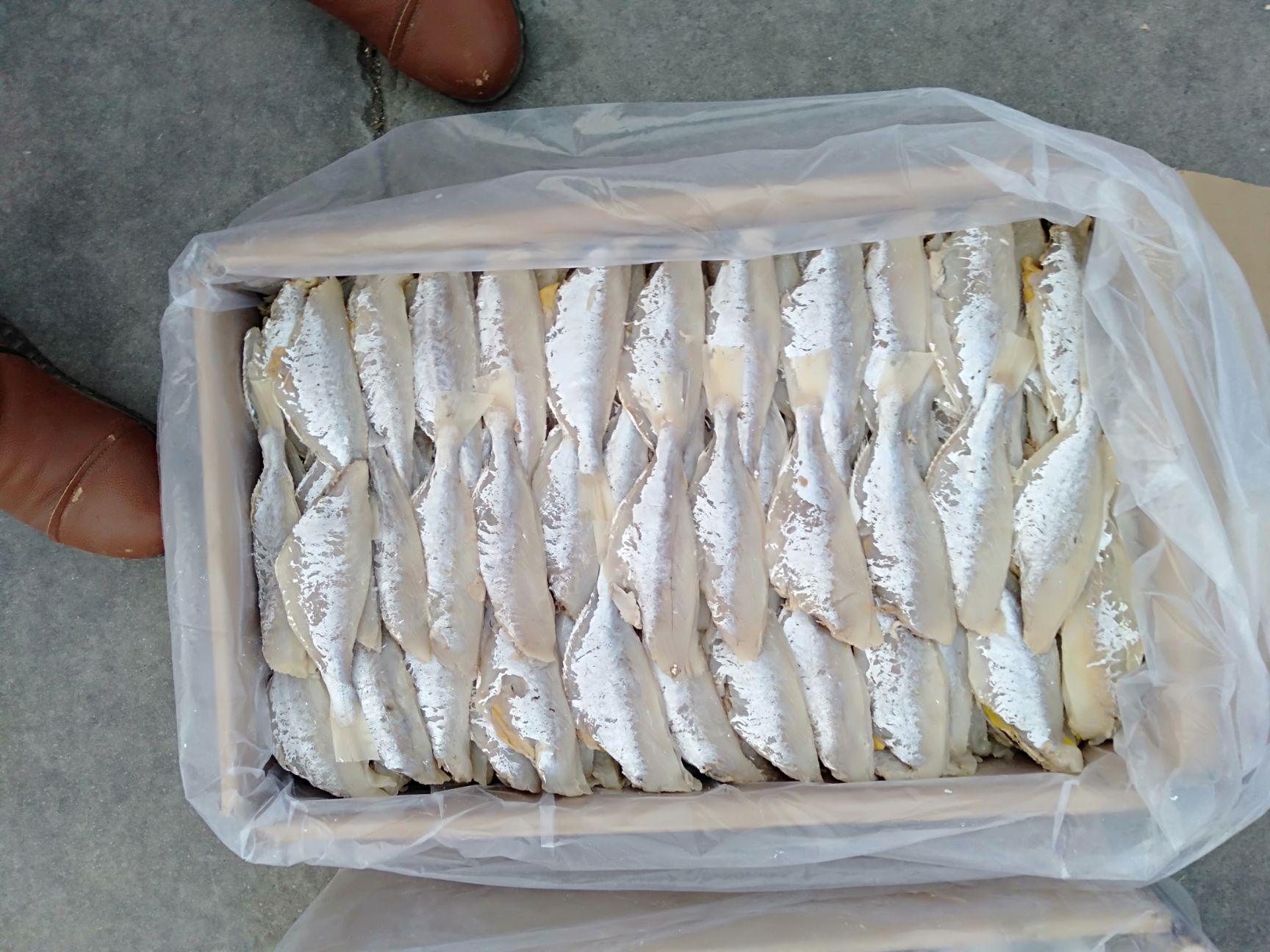 滨州咸鱼 目鱼肉辱刺少味美是儿＇童老年人的珍爱