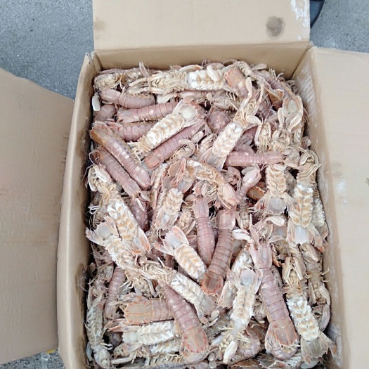 皮皮虾 皮虾新货源，有货，想吃的马上下单哦