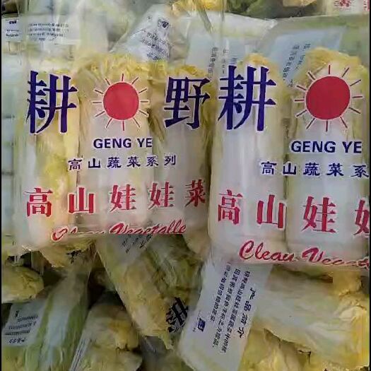 枣庄高山娃娃菜 10两以上 