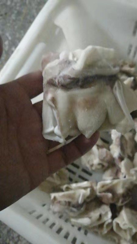 烟台秘鲁鱿鱼 