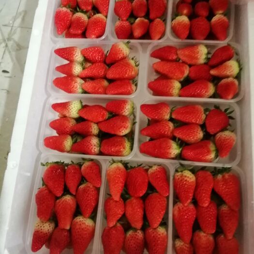 沂源县 甜宝草莓